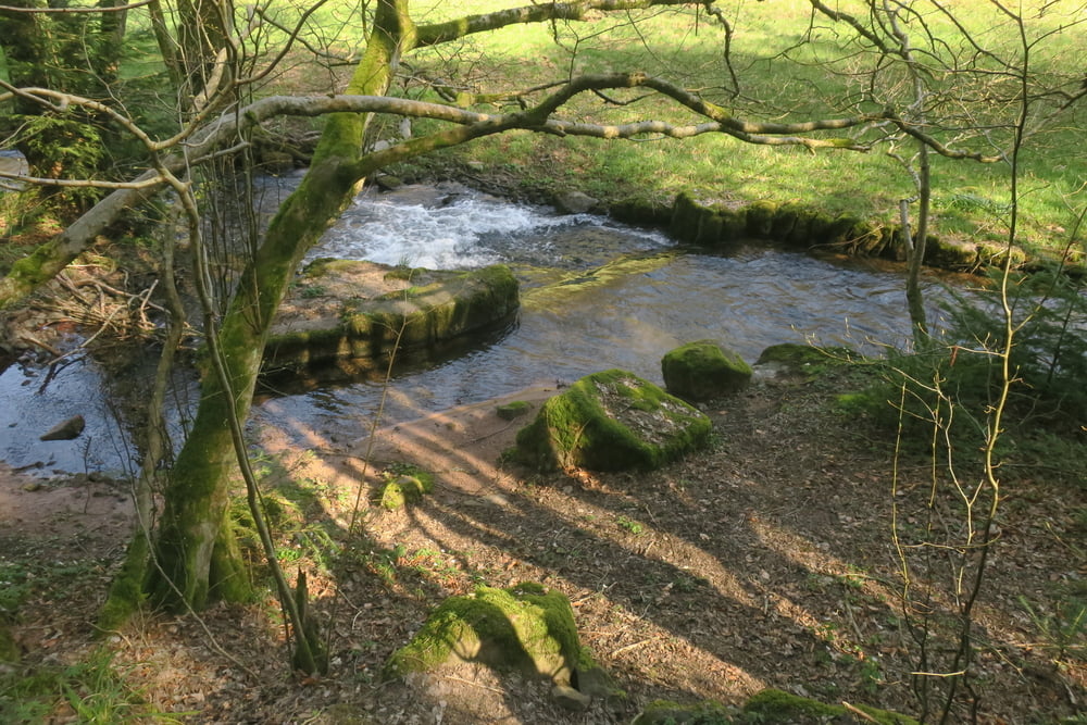 Holzbachtal - Schielberg