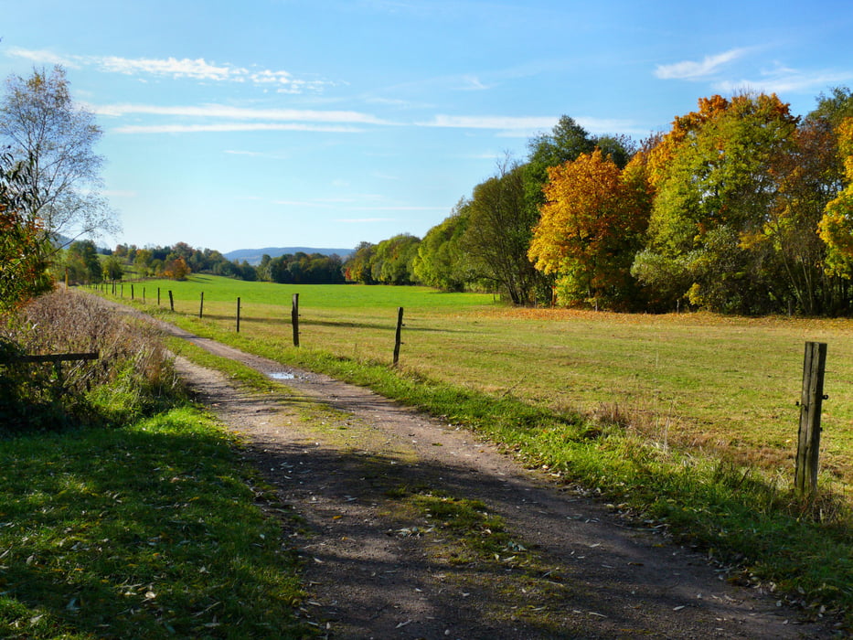 Rundkurs Jesuborn im goldenen Herbst