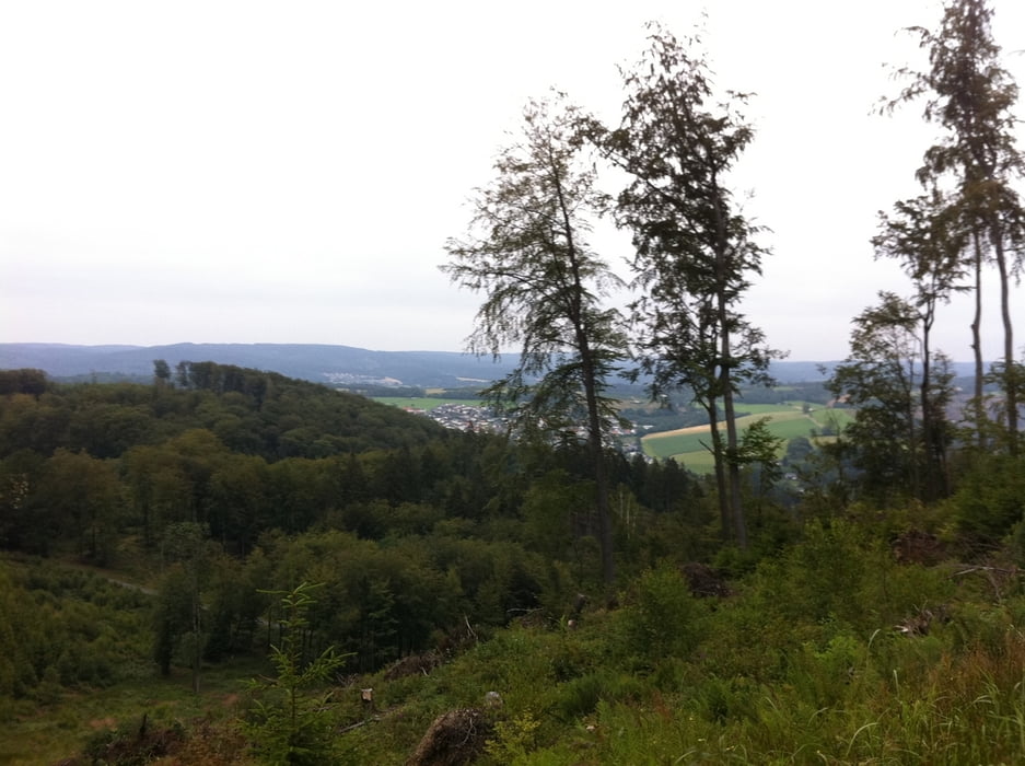 Vosswinkel - Holzen - Müssenberg