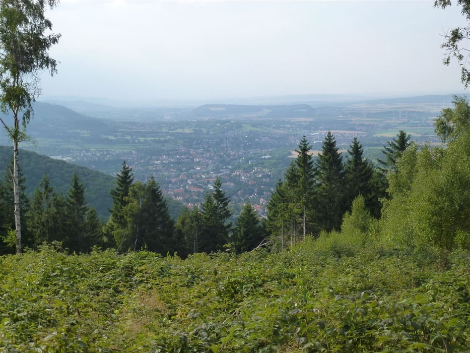 Bad Harzburg - Stübchental - Kreuz des deutschen Ostens - Kattnäse