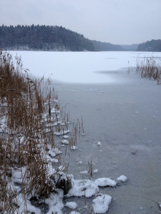 Reinbek Grossensee Mönchsteich Reinbek im Winter