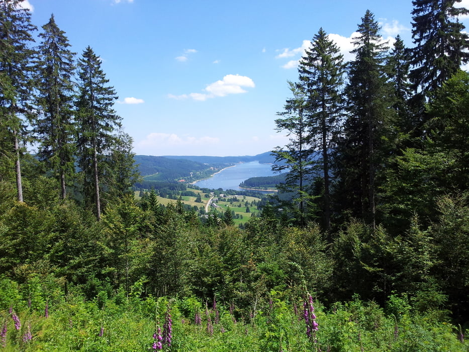 Schluchsee - Herzogenhorn - Bernau - Blasiwald - Schluchsee