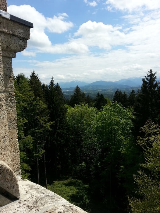 Auf den Taubenberg