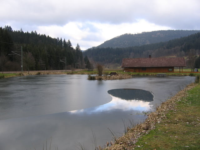 Fischweiher des ASV Schönmünzach