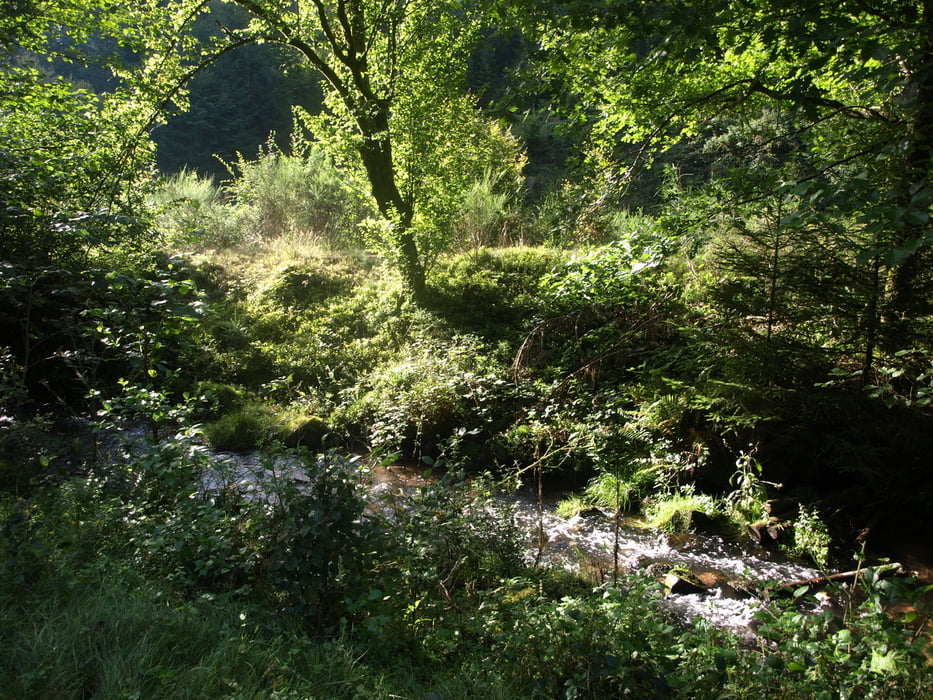 Über den großen Almersberg