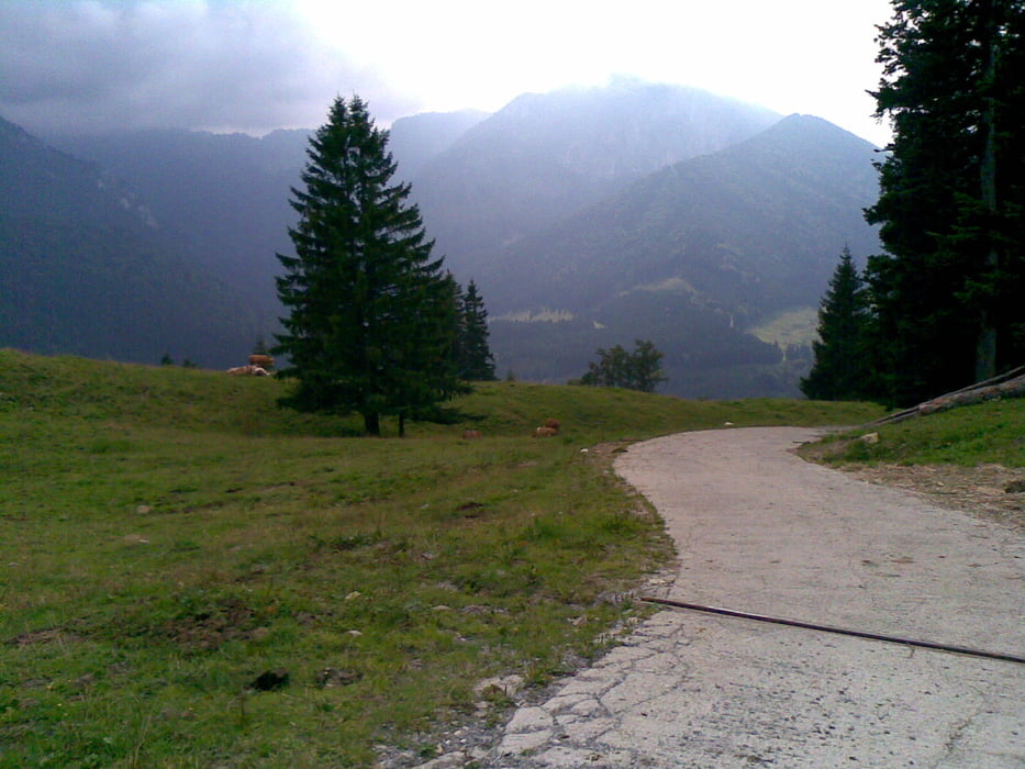 Rosenheim-Farrenpoint-Schuhbräualm-Rosenheim