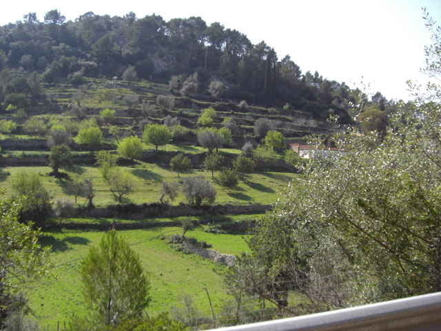 Trainingslager Tour 3 (Feb 27 2008): Orient