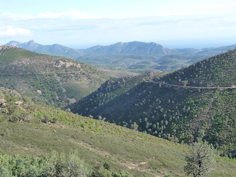Massif de l'Esterel