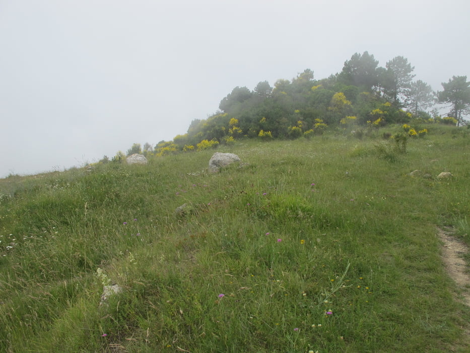 Seealpen - Castellar