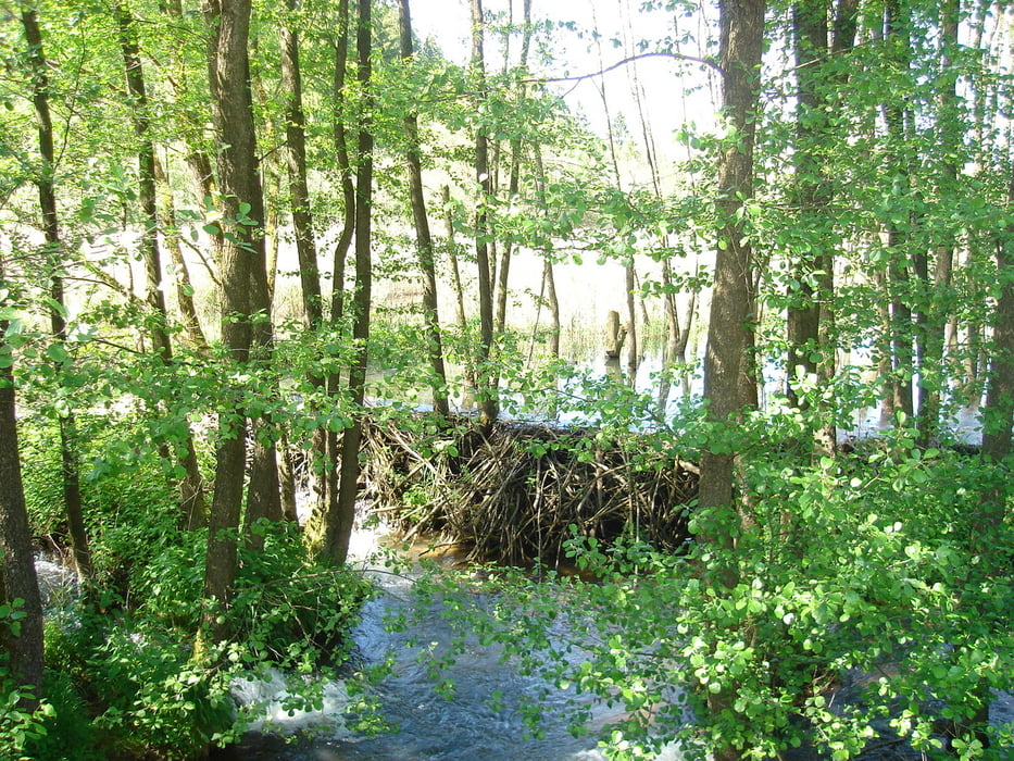 Neumarkt -Rothenfels-Neumarkt Geile MTB Tour