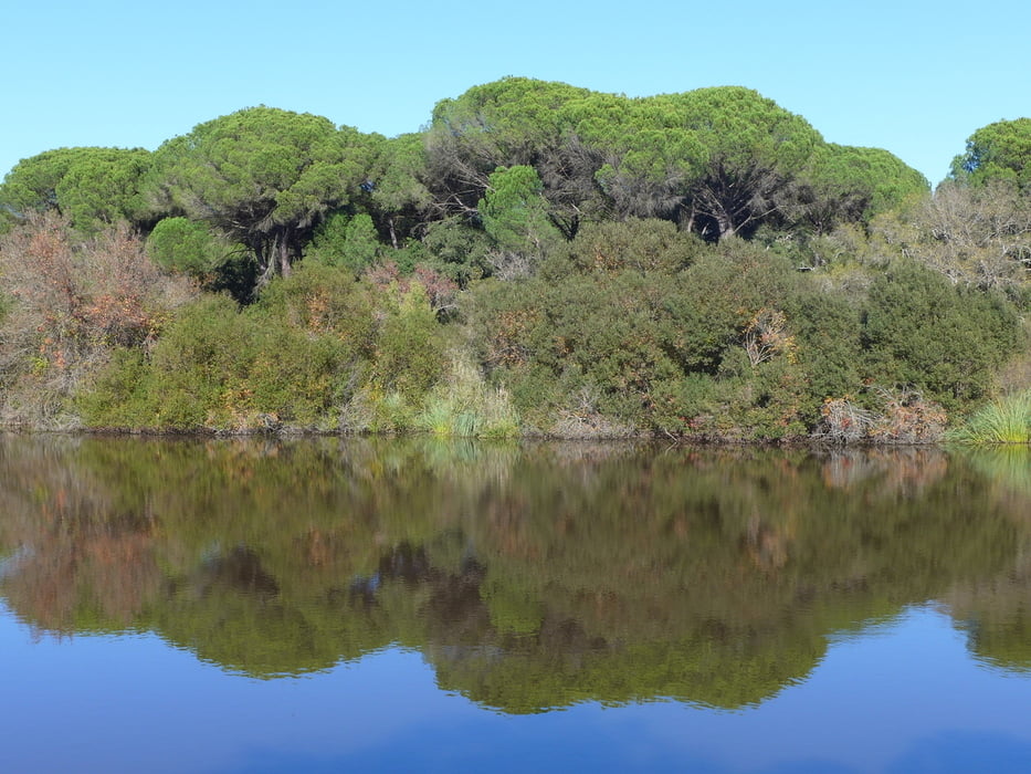 Andalusien: La Doñana 2