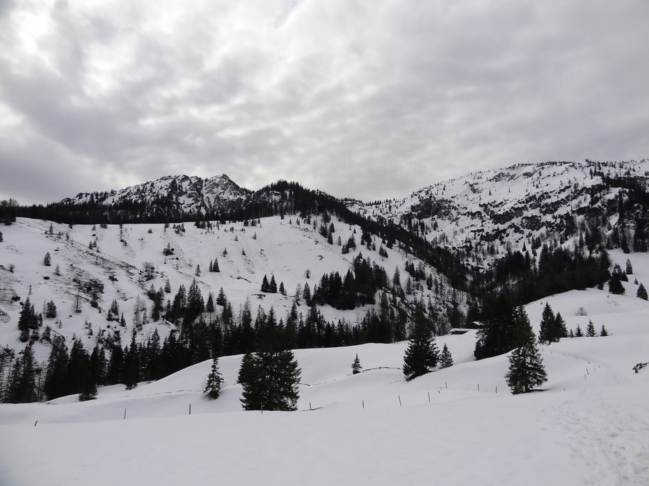 Schildenstein 1611 m