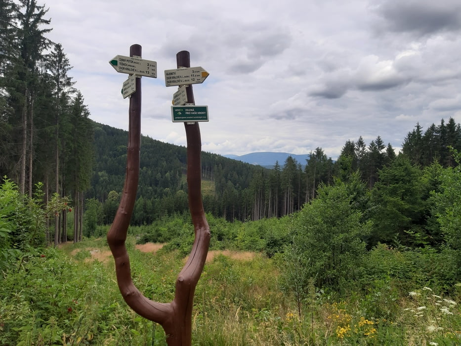 Bílá Třemešná -Zvičina -Borovnička -Les Království -Dubový Dvůr -Dvůr Králové n.L.
