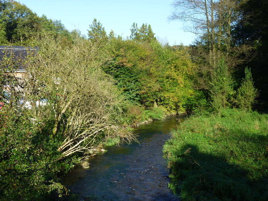 Eifgenbachtal