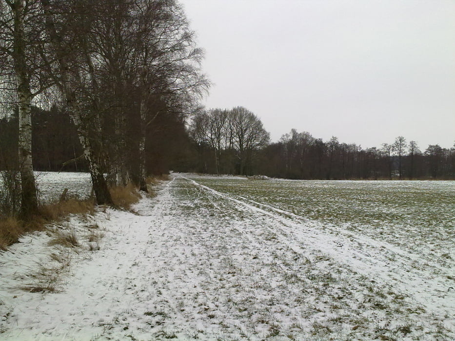 Trainingsrunde Nr: 2 von Buxtehude aus / kleine Estetalrunde bei Buxtehude