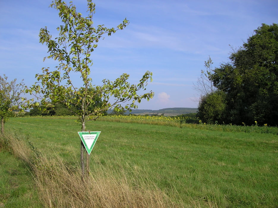 Niedtal-Nordgau (Druidenpfad)