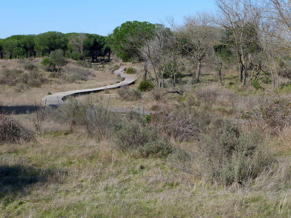 Andalusien: La Doñana 1