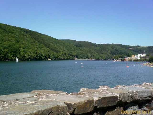 Insenborn