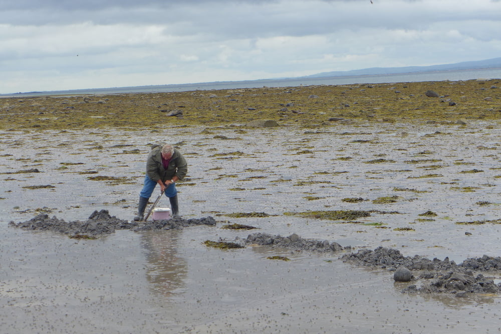 Dingle Way: Von Scraggane Pier nach Camp
