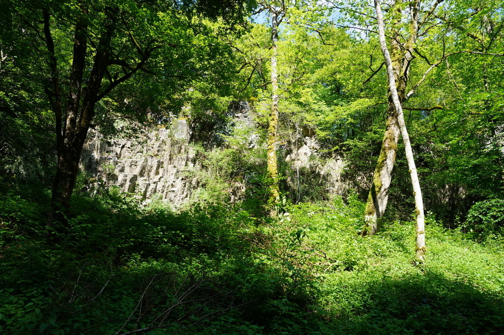 Durch die Wolfsschlucht zum Windsbornmaar