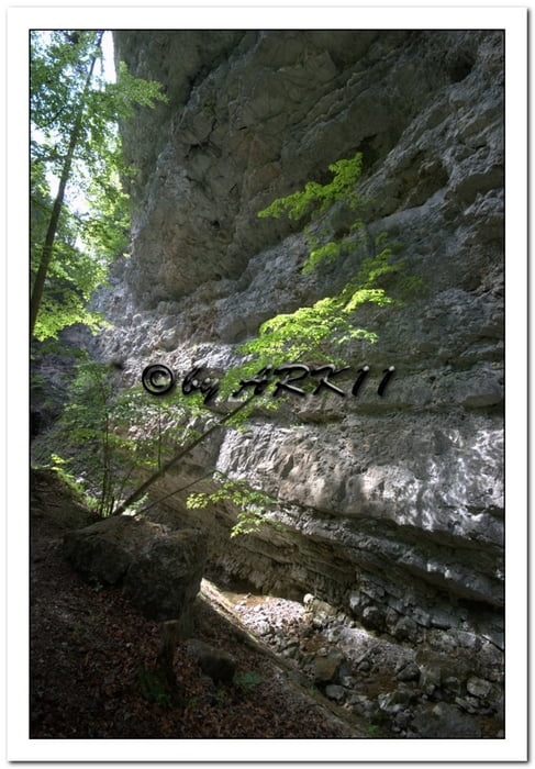 KlausenbachKlamm-Zwerchenbergalm-Grosser Steinbach