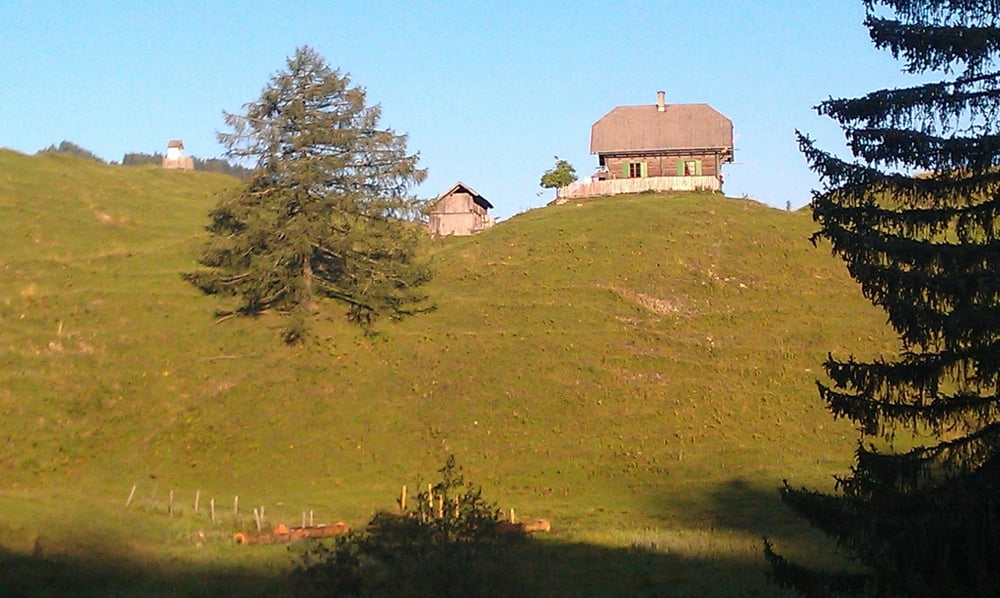 Waisacher Alm-Gamberger Alm-Tschabitscher