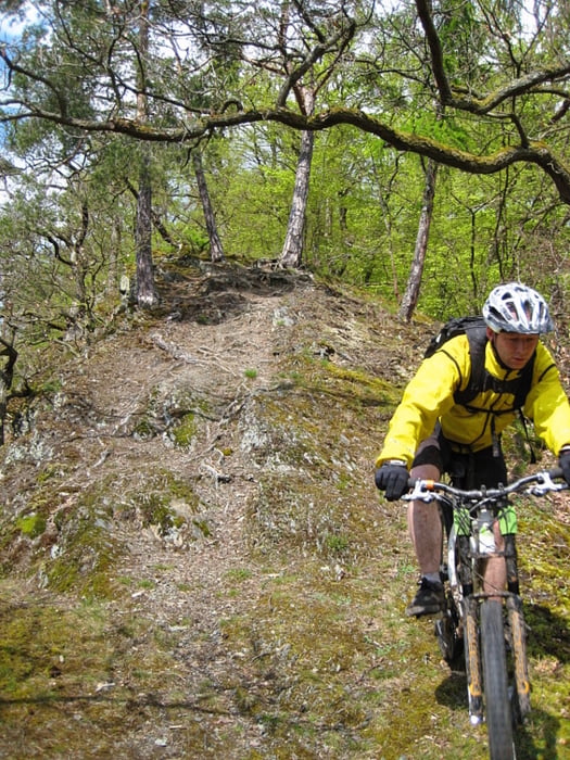 Korbach-Basdorf-Urwaldsteig-Knorreichenstieg-Herzhausen-Korbach mit "Zusatztrail"