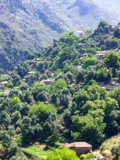 Lakki to omalos