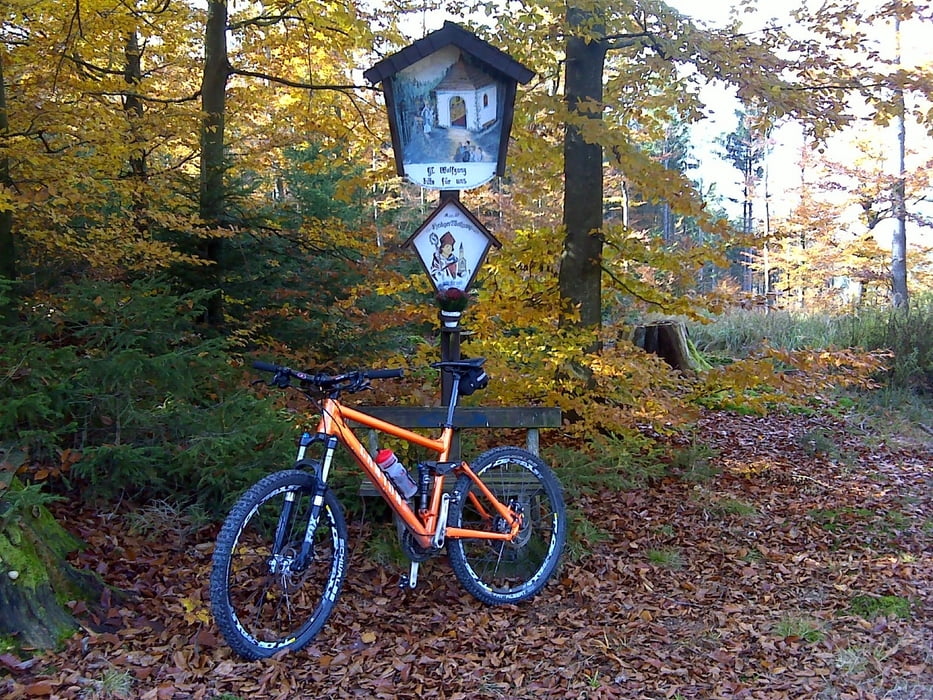 Kobernausserwaldrunde - Wienerhöhe - St. Wolfgangweg