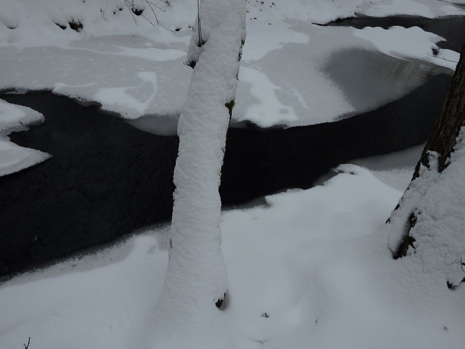 03/2019.Včelár-Žitava