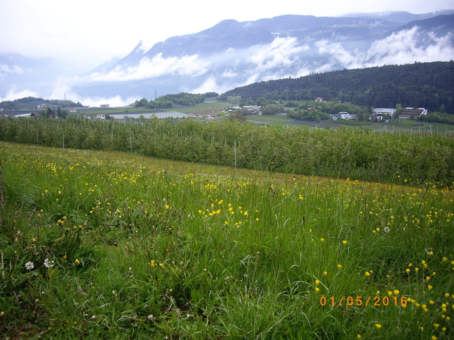 Rund um Tisens