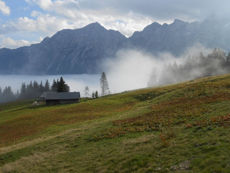 Rossfeld-Ostseite, Truckenthannalm und Leitenalm