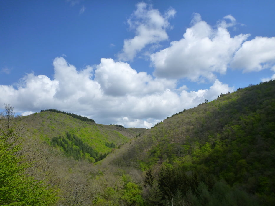 Rundtour Pantenberg, Laufeld, Manderscheid