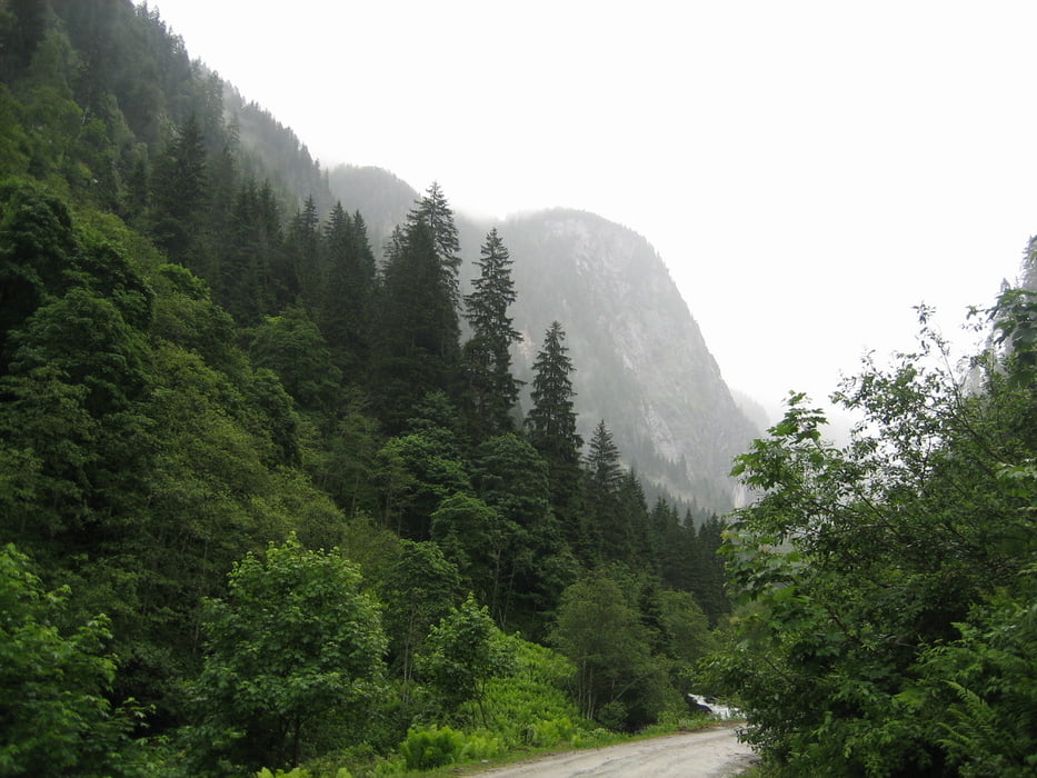 Tour durchs Harbachtal zur Moa Alm