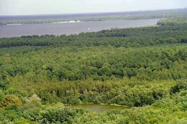 Rund um die Müggelberge