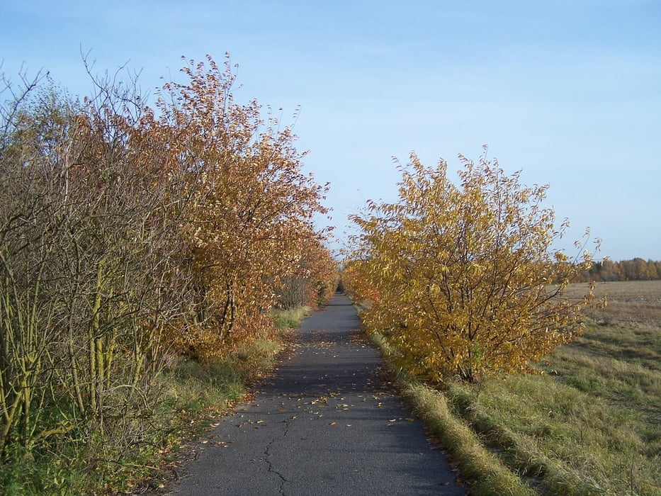 Diedersdorf-Neubeeren-Ruhlsdorf-Stahnsdorf