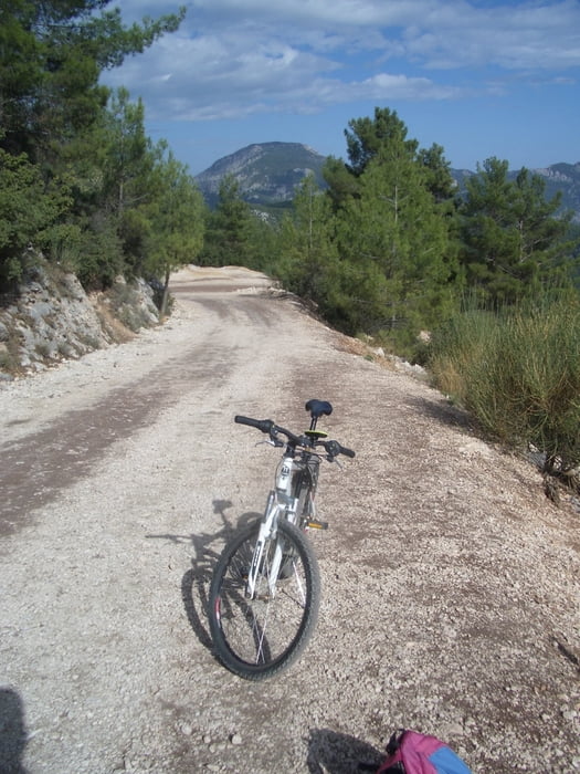 Trail bei Gedelme