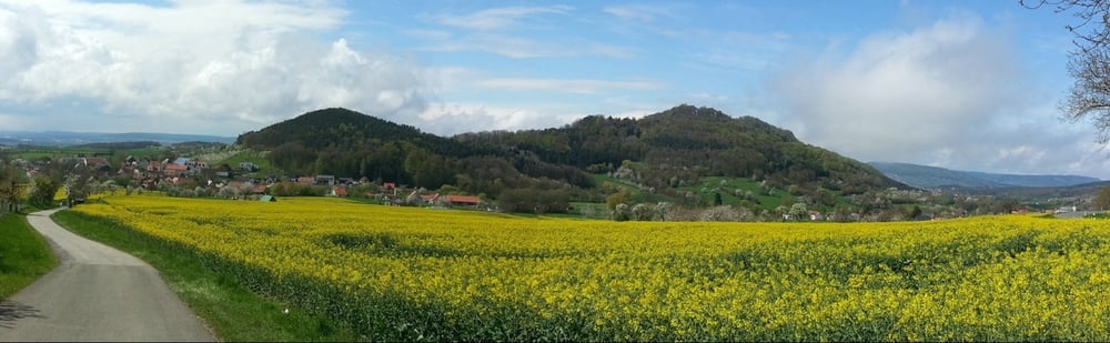 Wandern Franken: Ehrenbachtal bei Leutenbach mit Kirschblüte