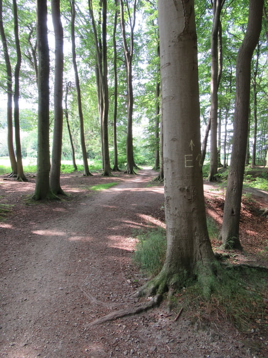 Runde Hohenholte Havixbeck Fussgängerzone