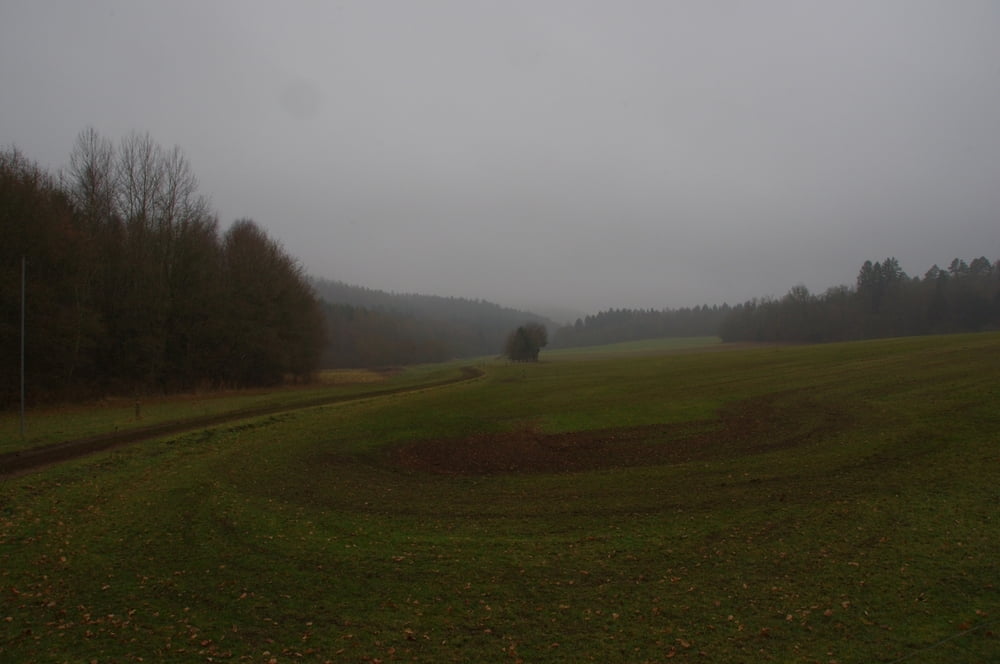 #1000: Bliesgau