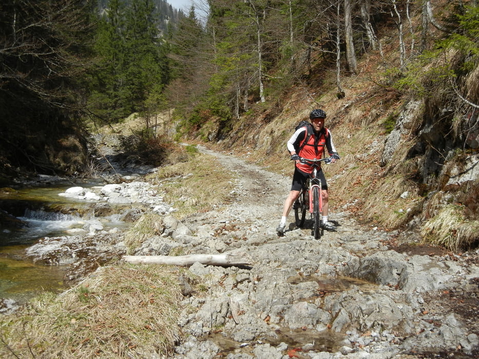 Schlüsselblumentour im Mangfallgebirge
