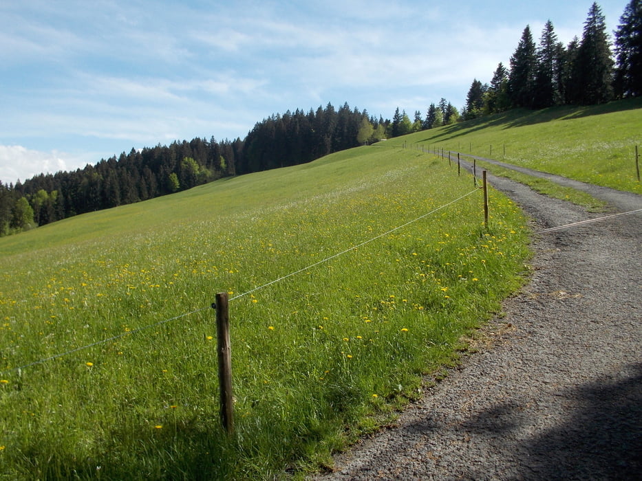 Kleparasattel und Bikepark Bürserberg