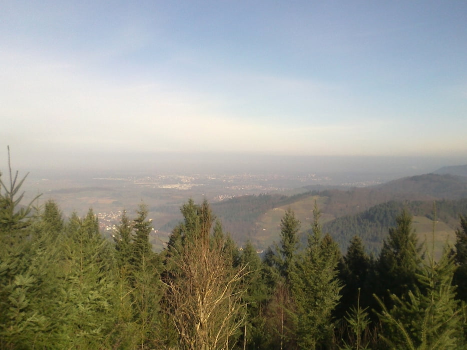 Heiligenzell (Waldrundgang) 17.2 km