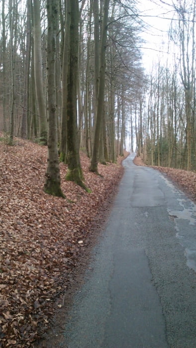 Familienwanderung - kurze Rothenbergrunde