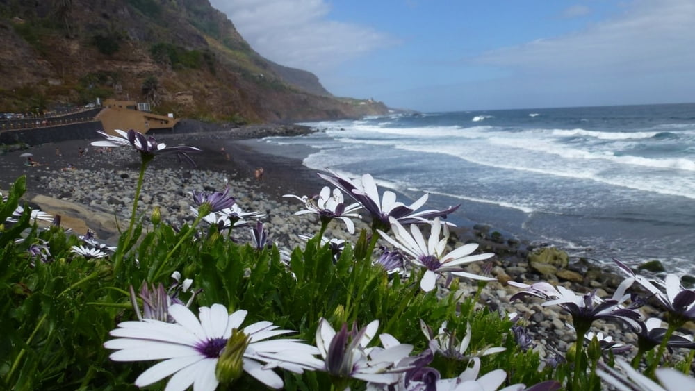 Teide NON-Stop - from the sea to the summit