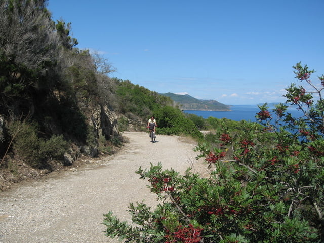 Elba- um den Mt. Calamita