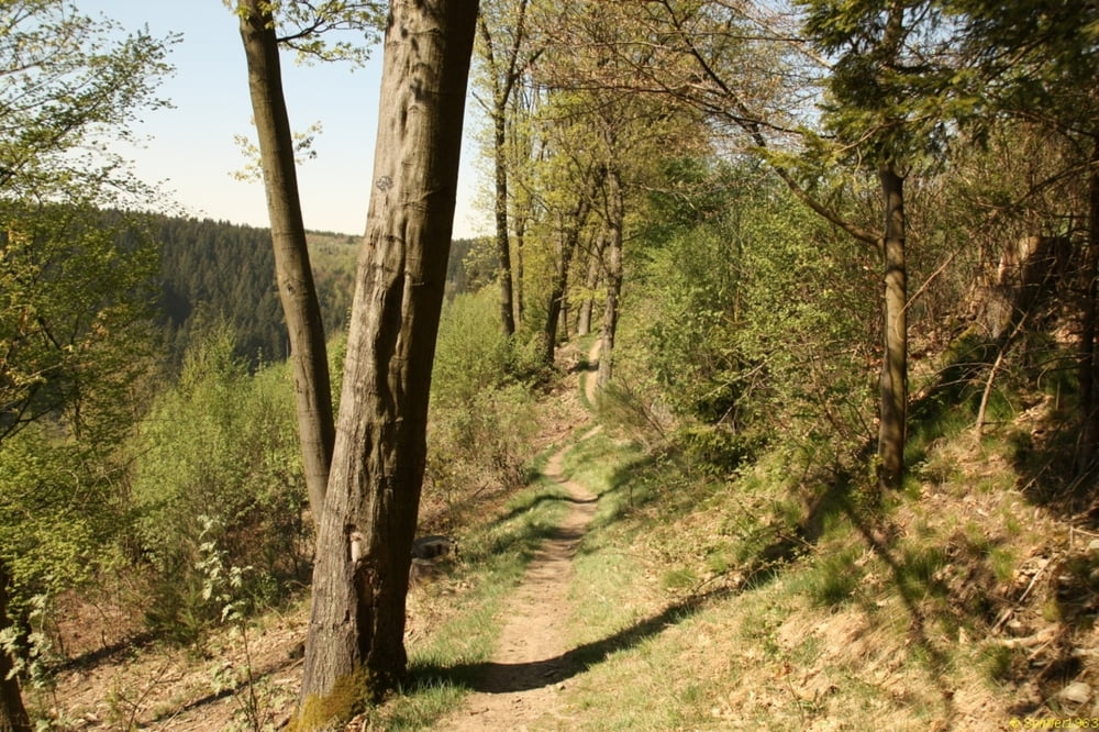 Eifel: Wanderung Monschau - Rurtal - Höfener Mühle - Futhbach - Rurtal - Monschau 