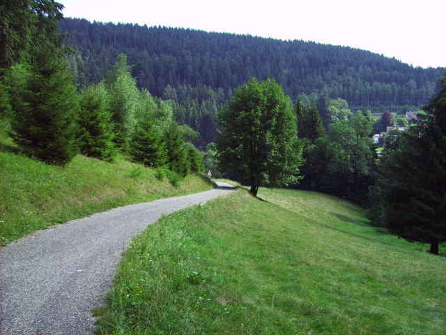 68 km aus dem Wald rollen lassen