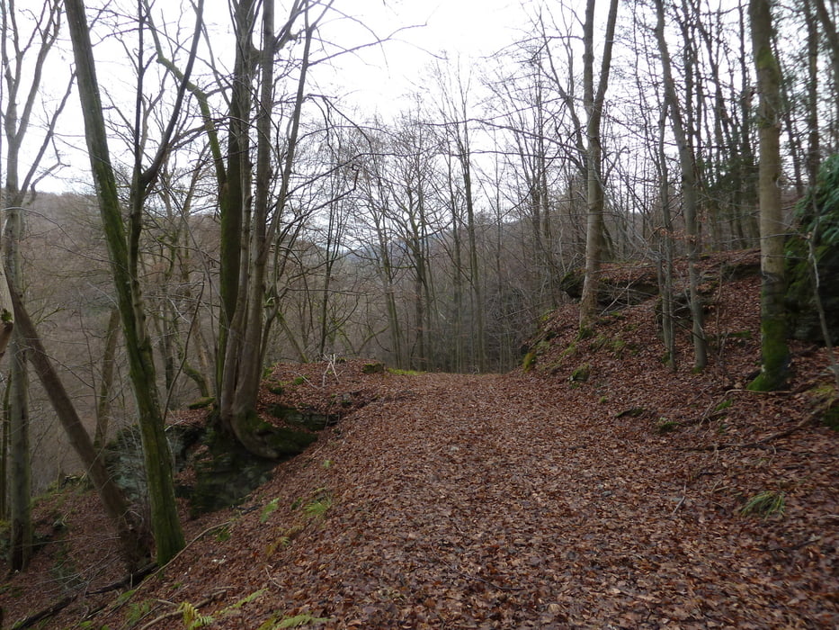 Über dem Weiltal zur Landsteiner Mühle, aus Rother Wanderführer -Taunus- Nr. 48