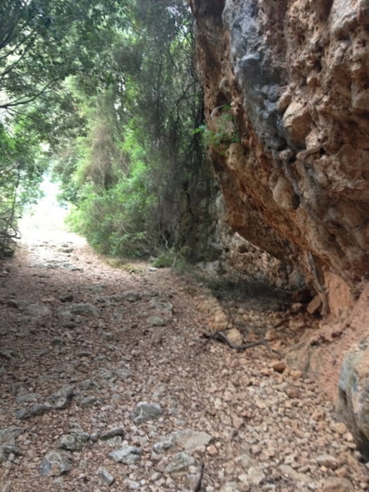 Mallorca Kloster Lluc